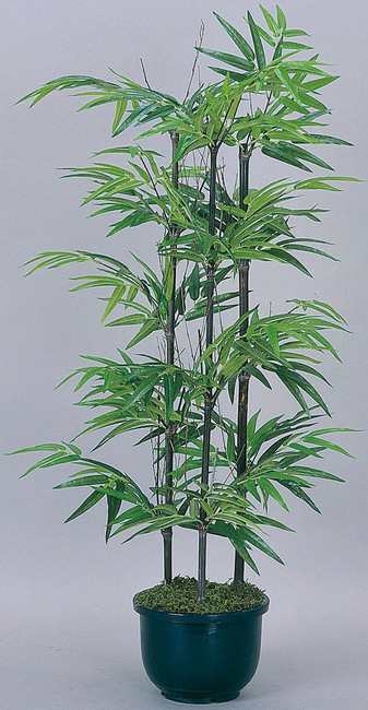 送料無料 黒竹 人工観葉植物 高さ100cm 光触媒 176a1 店舗用品 光触媒 人工観葉植物 造花 フェイクグリーン フロア 鉢型 用の通販はau Pay マーケット 看板 店舗用品のサインモール Au Pay マーケット店