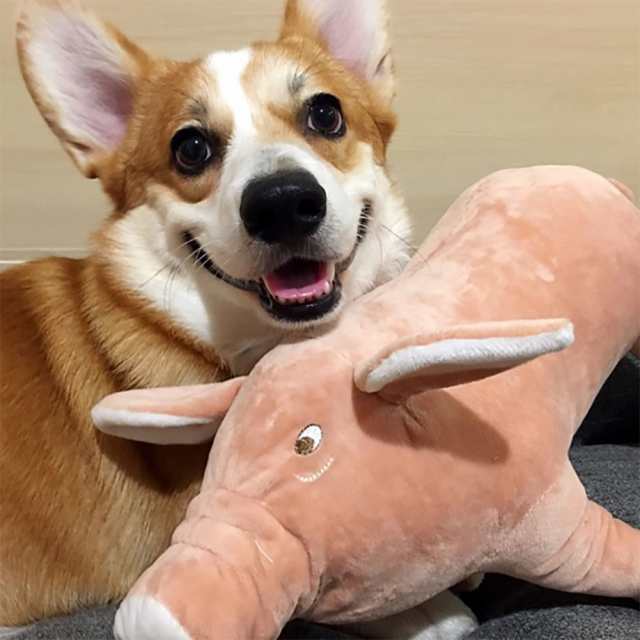 ぬいぐるみ玩具歯を研削するペット犬のための面白いぬいぐるみ犬テディブルドッグの通販はau Pay マーケット キキ屋 ぬいぐるみ玩具歯を研削するペット犬のための面白いぬいぐるみ犬テディブルドッグの通販はau Pay マーケット キキ屋
