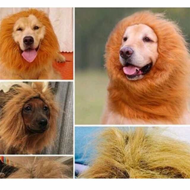 かわいいペットのコスプレ変身帽子ヘアピオンライオン猿冬暖かいかつら猫の犬のコスチュームの通販はau Pay マーケット キキ屋