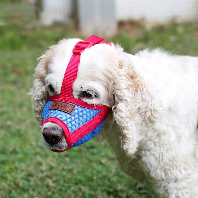 メッシュ布通気性のある犬の口のマフルの噛み付きの禁止吠え声の食べ物の汚れペット用品の通販はau Pay マーケット キキ屋