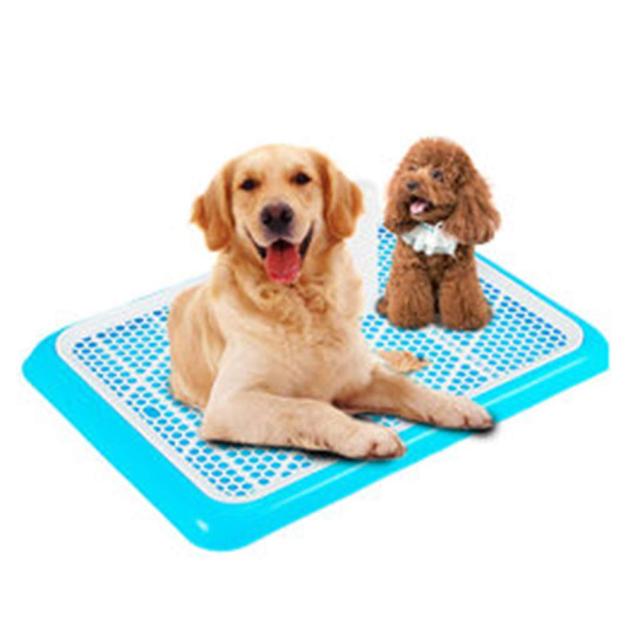 大型 小型 小型犬用の排尿コラム付き青色ペットトイレ犬の通販はau Pay マーケット キキ屋