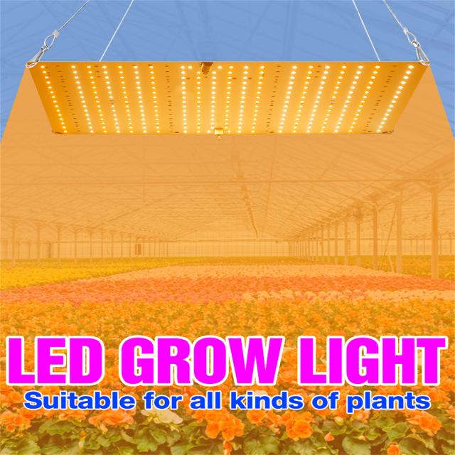 Led Grow Light フルスペクトラム Phytolamp 植物成長 水耕栽培 種子 花 成長ボックス 3000w 量子ボードの通販は