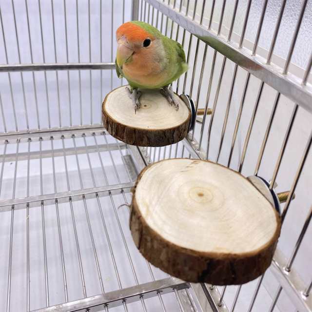 4 ピース/セット天然木鳥止まり鳥かごスタンドオウム止まり台 4 ピース/セット天然木鳥止まり鳥かごスタンドオウム止まり台