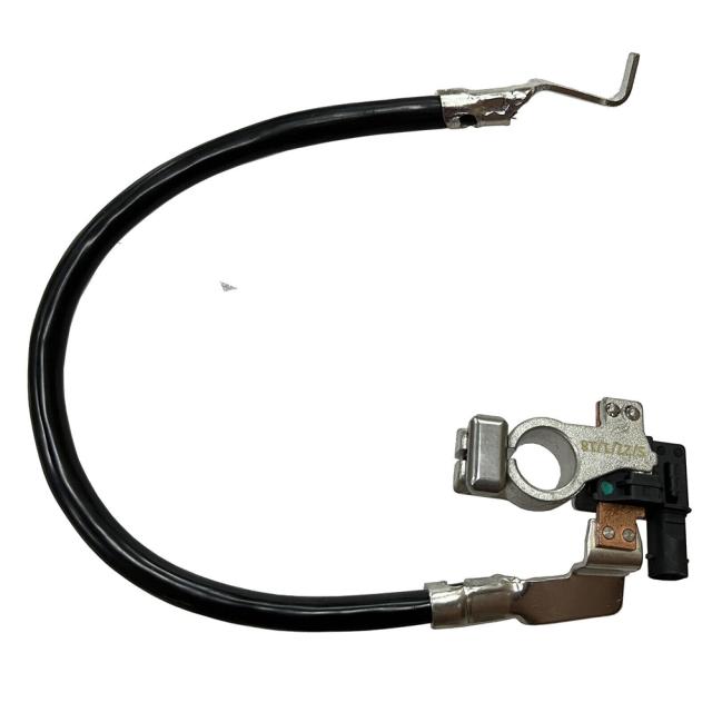 Av6z-10c679-p カーバッテリーケーブル マイナスバッテリーライン交換部品 Fox 2012-2018 Eado 2013-2019に対応の通販は 6,279円