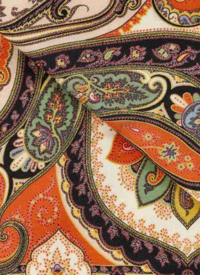 ETRO エトロ マルチカラー Multicolor ファッション小物 レディース