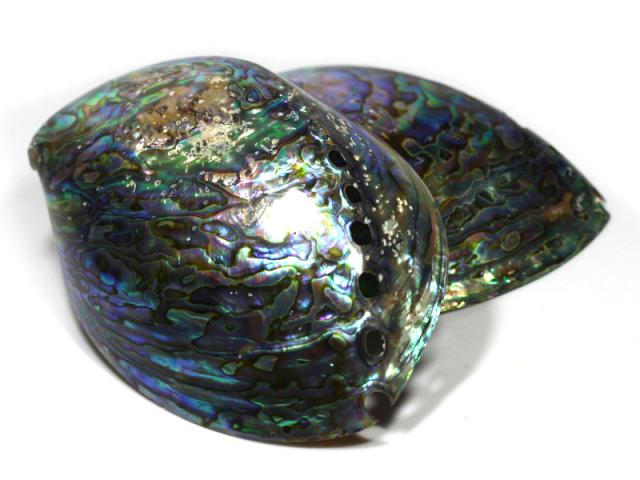 【天然石 置き石】アバロンシェル (アワビ貝殻)(中)(1個)の通販は 6,250円