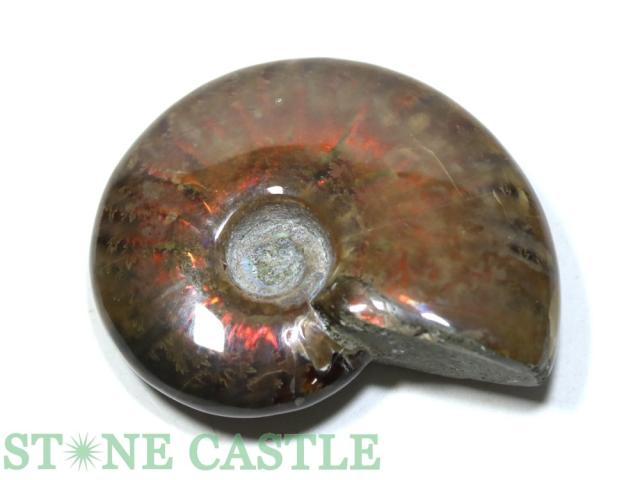 癒の石 アンモニャイト pipi様 ケセラストーン アンモナイト 天然石