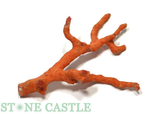 稀少 天然 赤珊瑚 原石 結晶 鉱物標本 パイプオルガン珊瑚 アクアリウム 稀少 天然 赤珊瑚 原石 結晶 鉱物標本 パイプオルガン珊瑚