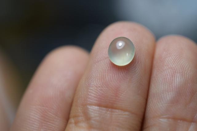 RS11-39 極品 高氷種 薄黄色 ミャンマー産 天然 A貨 本翡翠 ルース 硬玉 ジェダイト