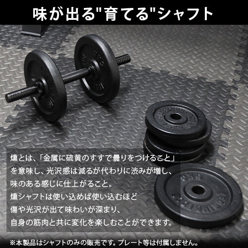 早い者勝ち　LEADING EDGE(リーディングエッジ) ダンベルプレート 楽天市場】リーディングエッジ ダンベル プレートの通販