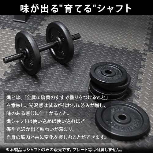 リーディングエッジ LEADING EDGE ダンベルシャフト 燻-ibushi