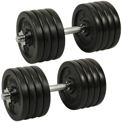 リーディングエッジ LEADING EDGE アイアンダンベル 片手40kg×2