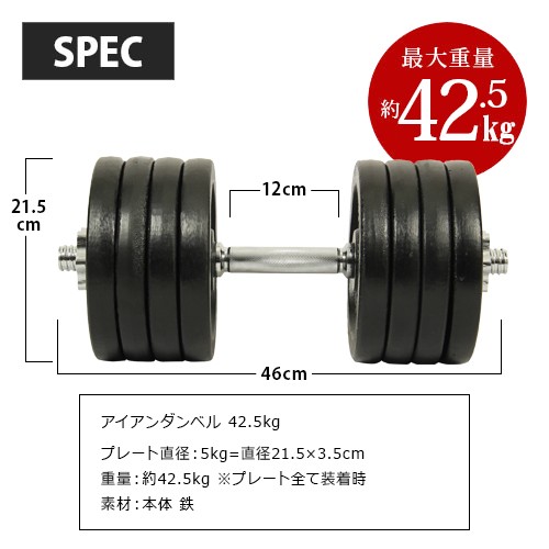 リーディングエッジ LEADING EDGE アイアンダンベル 40kg LE