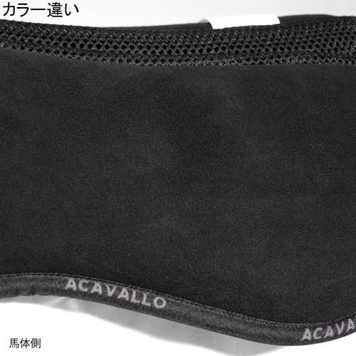 乗馬 ACAVALLO ハーフパッド 馬場用 ルーブル-