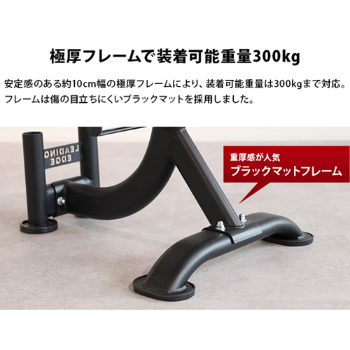 リーディングエッジ オリンピックプレートラック 50mm径穴 オリンピックプレートラック ｜ラインナップ｜トレーニング用品
