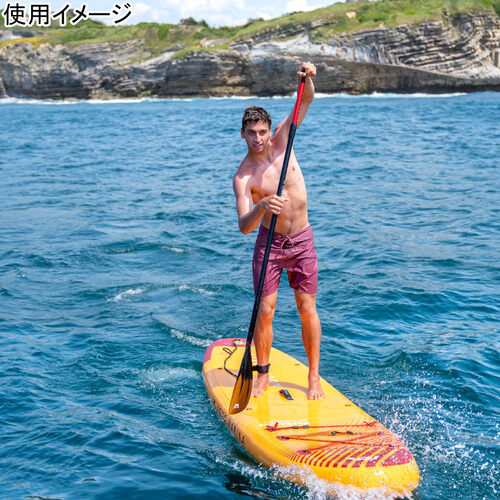 北海道・沖縄・離島配送不可] アクアマリーナ AQUA MARINA マリン