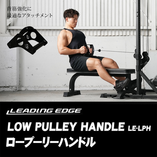 ワイルドフィットWILD FIT GYM アジャスタブルベンチ WILD FIT ワイルドフィット アジャスタブルハイパー