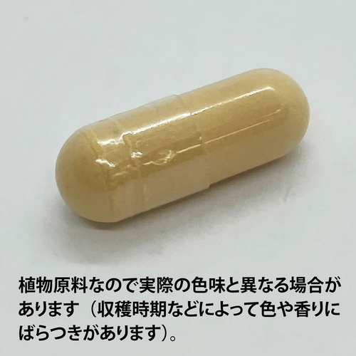 エクレクティック マリアアザミD 90 E171の通販は