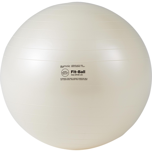 [北海道・沖縄・離島配送不可] ダンノ DANNO バランスボール フットボール65 パールホワイト D5921 フィットネス用品の通販は 7,404円