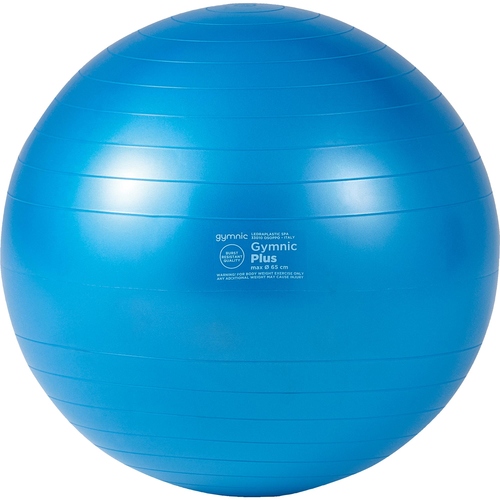 [北海道・沖縄・離島配送不可] ダンノ DANNO バランスボール ギムニクカラーボールPLUS 65 ブルー D5422B トレーニングの通販は