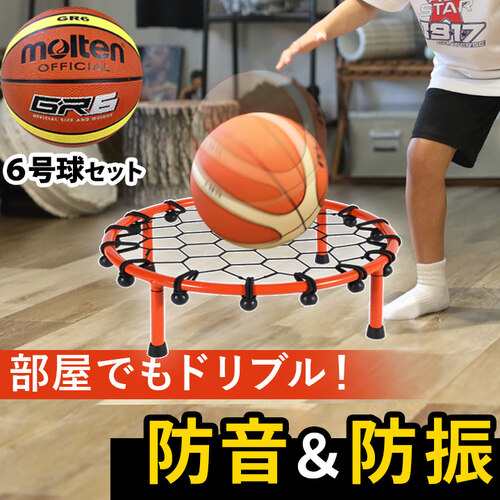 2月中旬入荷予定 LEADING EDGE リーディングエッジ ドリブルネット LES-DBN ＆ モルテン ジウジアーロラバーバスケットボール 6号球