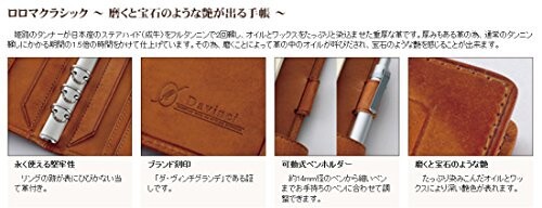 レイメイ藤井 システム手帳 ダヴィンチ ロロマクラシック 聖書 レッド