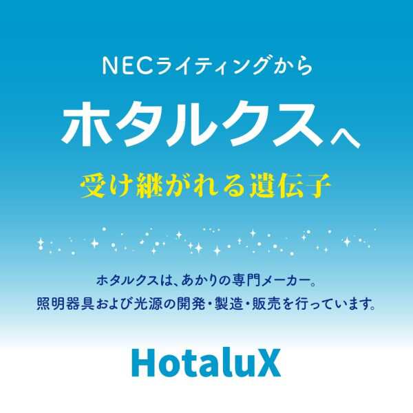 HotaluX(ホタルクス) [日本製] LEDシーリングライト HLDC12208 適用畳