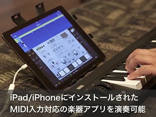 KORG （コルグ） MIDI キーボード コントローラー USB パスパワー DTM