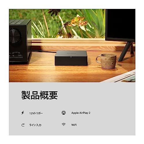 Sonos ソノス Port ポート Network Audio Receiver ネットワークオーディオレシーバー ストリーミング対応  24-bit対応 PORT1JP1BLK｜au PAY マーケット