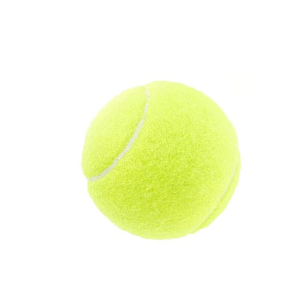 硬式テニスボール（DUNLOPセントジェームス）