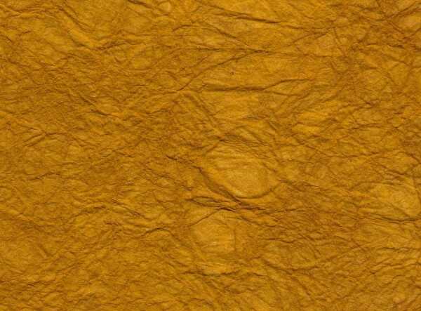 ＢＳ（＋）ナベＰ＝３ 表面処理(ニッケル鍍金（装飾） 材質(黄銅) 規格(8X12) 入数(150)  - 3