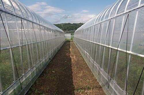昭和パックス(Showapattkusu) 農業用POフィルム スソ張り専用農PO 0.15x75x100mのサムネイル