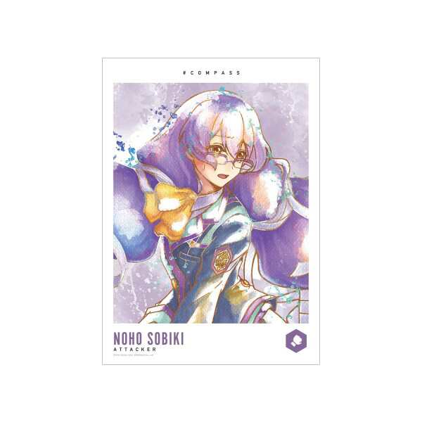 コンパス 戦闘摂理解析システム 双挽 乃保 Ani Art aqua label A3