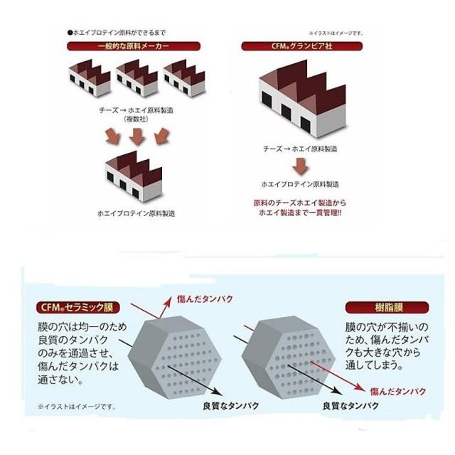 ゴールドジム サプリメント プロテイン CFMホエイプロテイン+ホエイペプチド&amp;ビタミンB リッチミルク風味 900g F3300 送料無料_3