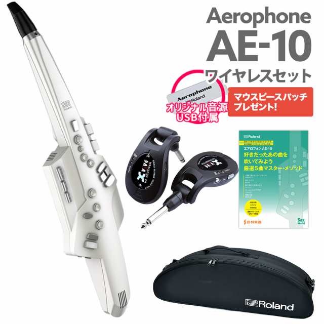 roland エアロフォン Aerophone AE-10 教則本付き equaljustice.wy.gov