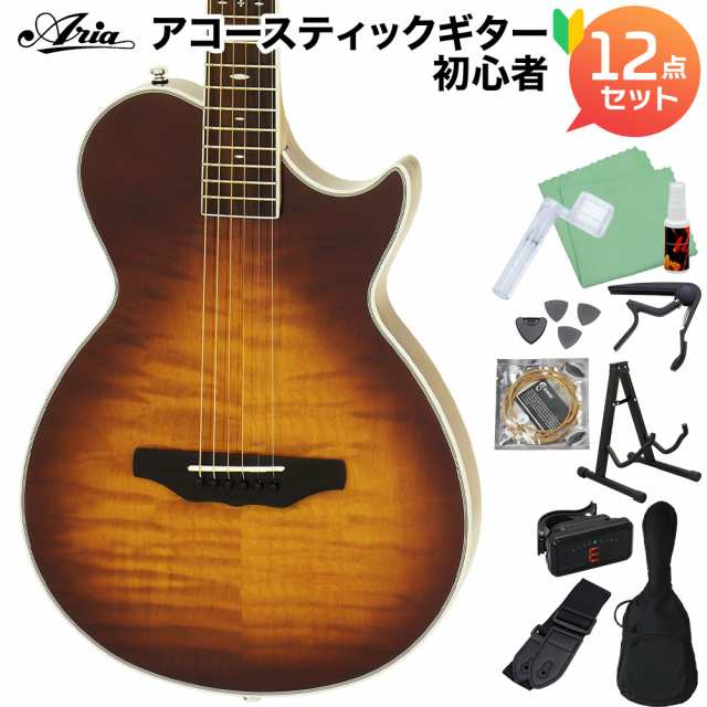 ARIA アリア APE-100 TS アコースティックギター初心者12点セット