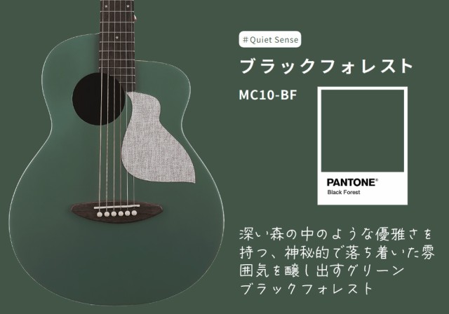 aNueNue アヌエヌエ aNN-MC10 アコースティックギター コンパクト 