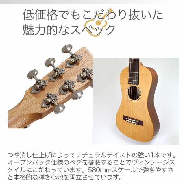 数量限定特価】SX エスエックス TG-1 アコースティックギター初心者12