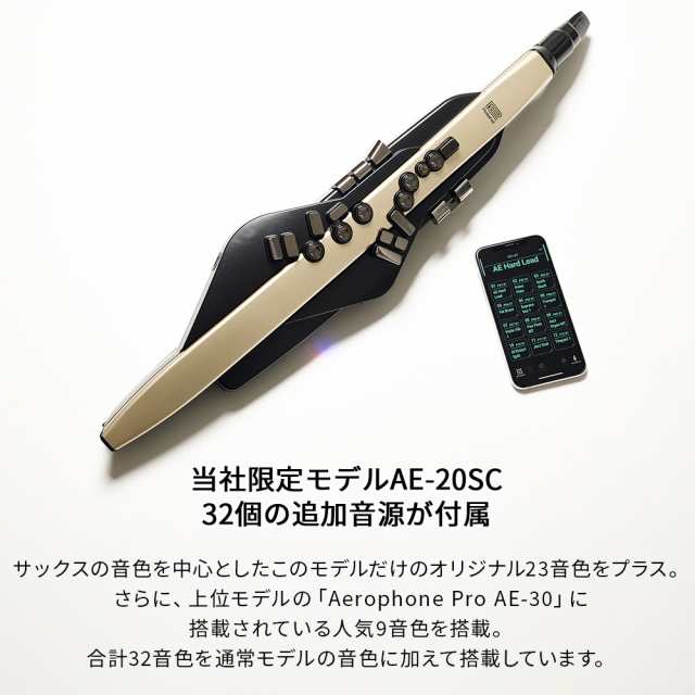 教則動画付き] Roland AE-20SC ケース ヘッドホン 専用スタンド 交換用マウスピース ガイドブック セット 島村楽器限定ゴールドカラー  32種追加音源 エアロフォン ウインドシンセサイザー ローランド