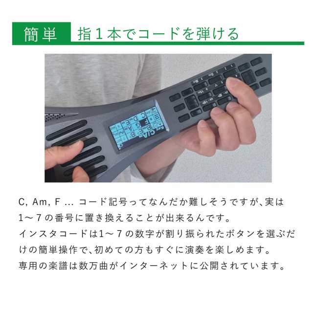 低価格 IC-31 インスタコード IC-31BK その他