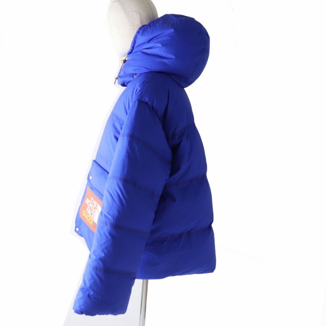 極美品◎正規品 GUCCI グッチ×THE NORTH FACE ザノースフェース 663735