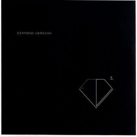 【新品】独12” Diamond Version Technology At The Speed Of Life / Empowering Change 12DVMUTE1 Raster Norton /00256 ワールド