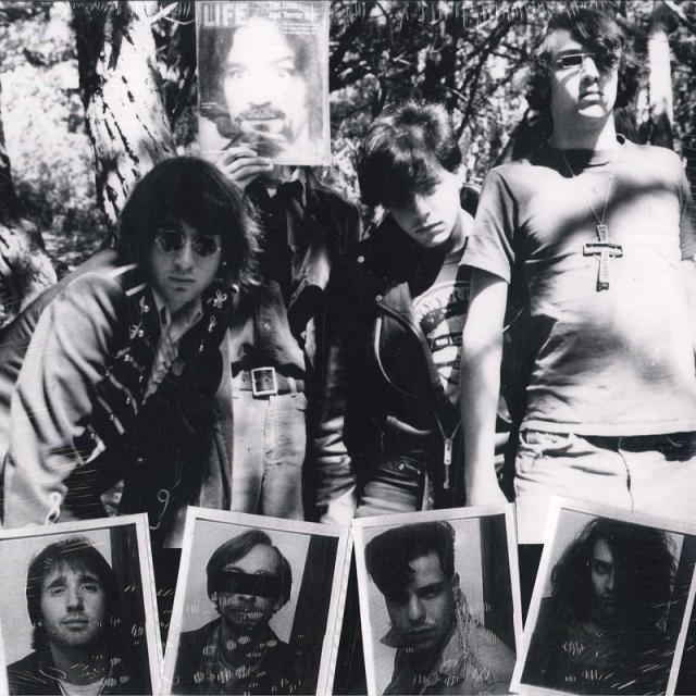 【新品】米2discs LP Dwarves Lick It (The Psychedelic Years) 1983-1986 RECESS52 Recess Records /00660