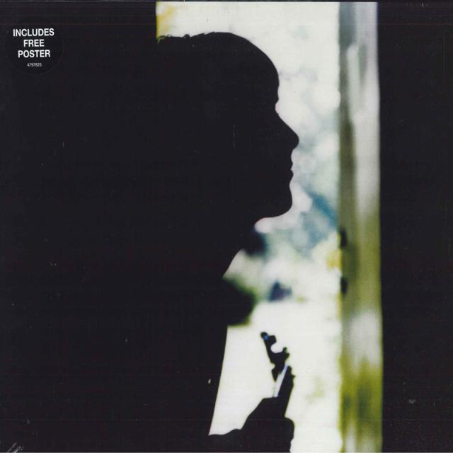 【新品】LP Paul Weller Wild Wood 4797825 Island Records, UMC /00260