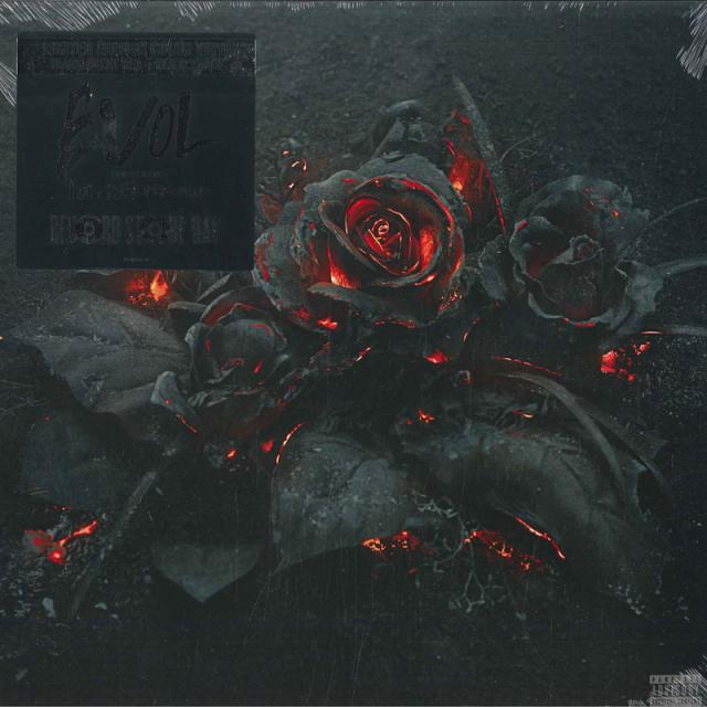 米LP Future EVOL 19439845121 Epic /00260 新品】米LP Future EVOL 19439845121 Epic /00260
