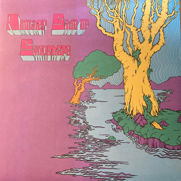 【新品】英LP Skinshape Another Side of Skinshape LEWIS1189LP Lewis Recordings 未開封 /00260