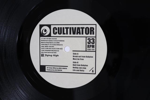 【中古】12” Cultivator Break Out From Babylon FLHLP10 Flying High /00250