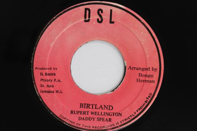【中古】ジャマイカ7” Rupert Wellington Birtland / Version NONE DSL /00080