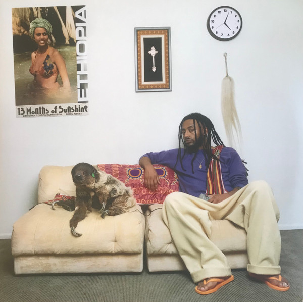 【新品】2discs LP Amine 13 Months Of Sunshine none CLBN 未開封 /00660