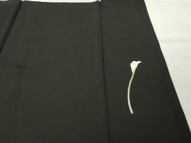 平和屋本店□極上 本加賀友禅作家 南克治 訪問着 水芭蕉 黒地